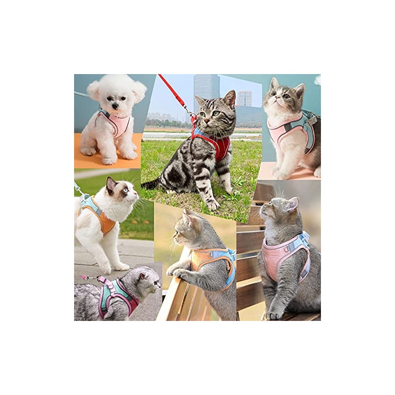 JSXD Juego de arnés para gato, correa y collar, arnés