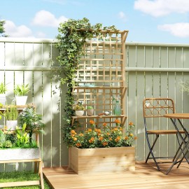 Natural Wooden Raised Garden Bed with Trellis Roof Elevated Planter Box 2 Shelves Drainage Hole Liner for Fencing Trellis GatesTitle: Default Title