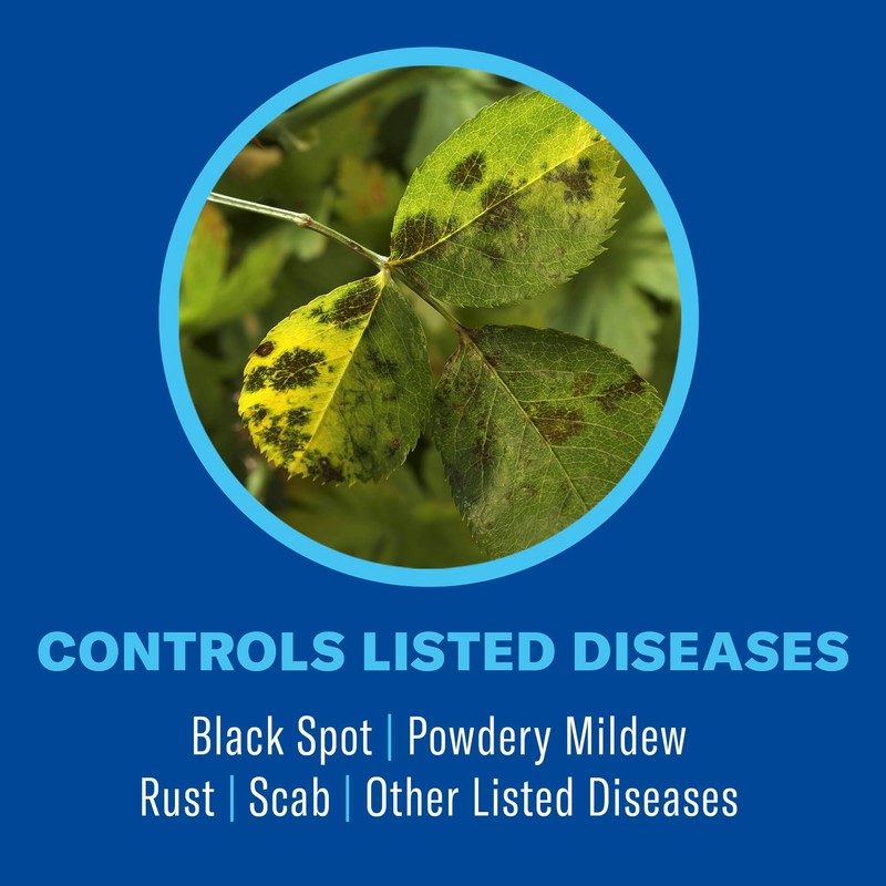 BioAdvanced All-in-One Rose & Flower Plant Care, Ready-to-Use, 24 oz,