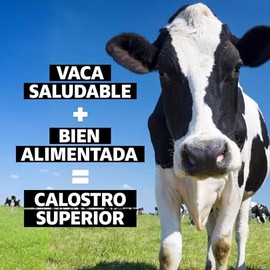 Beyond Vitamins | Calostro Bovino 30% Certificado Grass Fed de Libre Pastoreo 1800 mg, Bovine Colostrum de Calidad Certificada para 2 meses