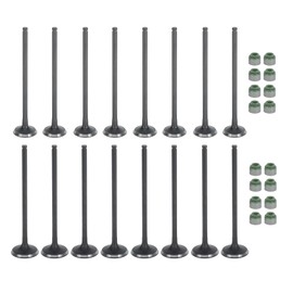 INFINAUTO 16pcs Engine Intake and Exhaust Valve Kit with Valve Seals for Honda Civic Del Sol 1.6L 1.7L 1992-2005 SOHC D16Z6 D17A1 A2 A6