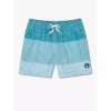 Chubbies The Whale Shark 5.5" Stretch Swim Trunks Shorts Men's