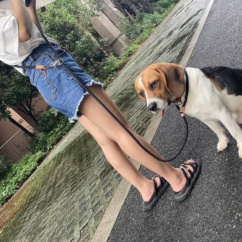 Kitekorosso スリップリード 肩掛け 多機能 ハンズフリー 2.6m たすき掛け トレーニングリーシュ ドッグリーシュ 犬用リード