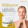 Helichrysum Essential Oil Balm - Helichrysum Italicum Cream for Veins
