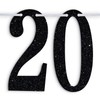 Happy 20th Anniversary Banner, Class of 2006 20 Years Later,
