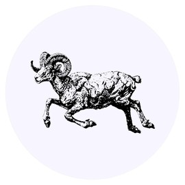 24 x 40mm Round 'Aries Ram Jumping' Stickers (SK00066564)