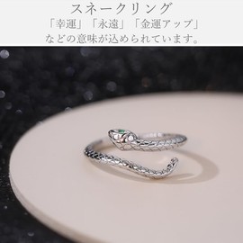 Gulamu Jewelry Women's Snake Ring Snake Ring One Size Fits Most Hypoallergenic Silver 925 Platinum Coating Present Women's Popular, Sterling Silver