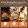 Sunrise Alarm Clock with Radio, White Noise Machine, Wake Up