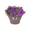 Elho Corsica Wall Basket 25 - Planter - Taupe -