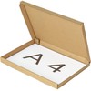 Earth Cardboard, Nekoposu ID0272 1.0 inches (2.5 cm), A4, Cardboard,