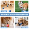 2PC Shaky Ball Toy for Dogs,Interactive Dog Toys,2025 New Vibrating