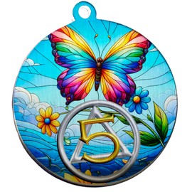 9 Years Recovery Coin, AA Alcoholics Anonymous Chip, Butterfly Sobriety Chip