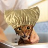 Pet Shower Cap Waterproof Reusable Bath Ear Covers with Adjustable