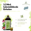Microflorana Microflorana? -F - Probiotika - Darmsanierung - Ansiedlungsf?hige Bakterienst?mme