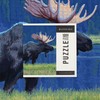 Lantern Press 1000 Piece Jigsaw Puzzle, Breckenridge, CO, Moose at
