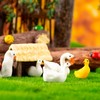 Chuxin Mini Resin Animals to Hide, 36pcs Tiny Ducks Fairy