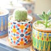 Ascrafter 6 Pack Mandala Succulent Plant Pot with Bamboo Trays,