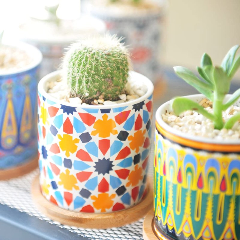 Ascrafter 6 Pack Mandala Succulent Plant Pot with Bamboo Trays,