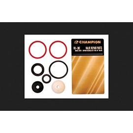 CHAMPION IRRIGATION PD RK-30C Anti-Siphon Valve Kit, 3/4-Inch