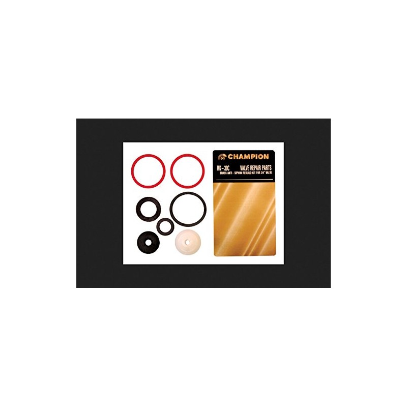 CHAMPION IRRIGATION PD RK-30C Anti-Siphon Valve Kit, 3/4-Inch