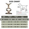 Dog Harness, No-Pull Dog Harness, Chest Harness for Small, Large,
