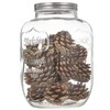 CATPOWER 1 Gallon Large Glass Jar With Mouth Canning Jar