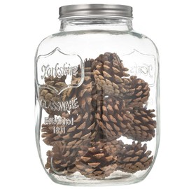 CATPOWER 1 Gallon Large Glass Jar With Mouth Canning Jar Kitchen Storage Jar Cookie Candy Penny Jar with Stainless Steel Screw Lid