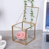 Gold Edge Geometric Glass Plant Planter Succulent Plants Container Home