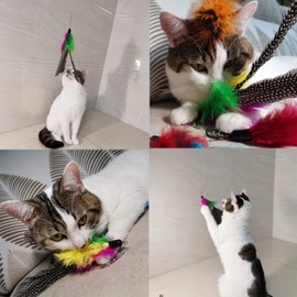 Cat Feather Toy Replacement Cat Toy Wand Refills, 10 Pieces Natural Bird Feathers Refill, Cat Toy Replacement Feathers for Cat Wand