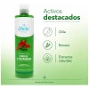 Shelo Shampoo Chile Y Romero Crece Cabello Caida Suaviza 530mL