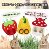 SFTRADE Timothy Rabbit, Grass Feeder, Rabbit, Bait Bag, No Mess,
