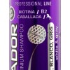 Shampoo Matizador Morado Con Biotina Sin Sal Platinado 500ml