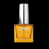 Kokpils Nail Nutrients 17ML Nail Protector Nail Strengthener Nail Strengthening Coating Nail Protection Coating / 꼭필스 손톱 영양제 17ML 손톱보호막 손톱강화제 손톱강화코팅 손톱보호코팅