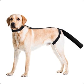 OHCOZZY Adjustable Dog Tail Protector for Wounds, Tail Cover Recovery Sleeve for Medium and Large Dogs, Anti Licking(M,Black)