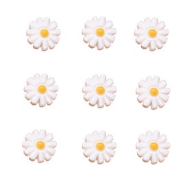 20 pcs Natural Shell Beads Sunflower Shape Freshwater Shell Loose Beads Accessories Charms for Jewelry Making Necklace Bracelet 12x12mm