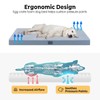 Veehoo Elevated Raised Dog Bed+Removable Dog Bed Mat-Cooling Outdoor Medium