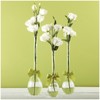 Two's Company 7355 Sleek & Chic Set of 3 Tear