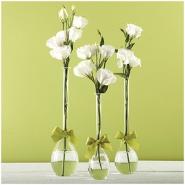 Two's Company 7355 Sleek & Chic Set of 3 Tear Drop Vase