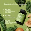 Recuperacin Intestinal 4 En 1 Con Preprobiticosenzimas Sin Sabor