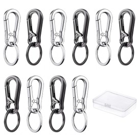 Pack of 10 Carabiner Keyrings, folaoerrr Metal Carabiner Keyring, Removable Small Carabiner Hook, Key Ring with Carabiner, with Storage Box (Silver, Shiny Black)