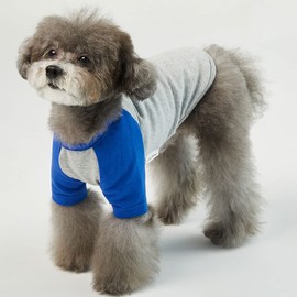 Lucky Petter Dog Shirt for Small and Large Dogs Raglan Cotton T-Shirts Soft Breathable Dog Shirts pet Clothes Gray Series (Large, Gray/Blue)