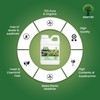 Nature's Will 100% Pure Organic Neem Oil, Cold Pressed and