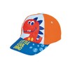Dinosaur Poncho, Towel for Beach or Pool + Dinosaur Hat