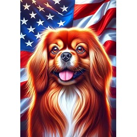 Tibetan Spaniel Red - Best of Breed DCR Patriotic III Outdoor House Flag Mailbox Flag 28" x 40"