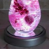NKLS-3SL Luminous Coaster [Round Shape for Herbarium (Silver)] Display Figure