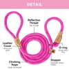 Petarea 5 FT Slip Lead Dog Leash, Heavy Duty Rope