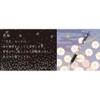 Kuretake XTWM3-12 Brush Pen, Beautiful Japanese IV, Medium Point, Yozakura