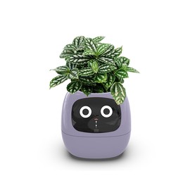 TPHRAVAL Intelligent Flower Pot, Electronic Bud, Maintenance Plant Assistant, Fun Interactive Flower Pot, Indoor Green Planting Monitoring, LCD Screen Display, Cell Phone APP Connection (Purple)