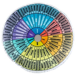 party greeting Wheel of Emotions Feelings Pillow Feelings Wheel Pillow Round 13.17x13.17In Throw Pillow Velvet Emotion Wheel Pillow for Therapist Office Decor Physical Therapist Gifts Home Sofa Decor