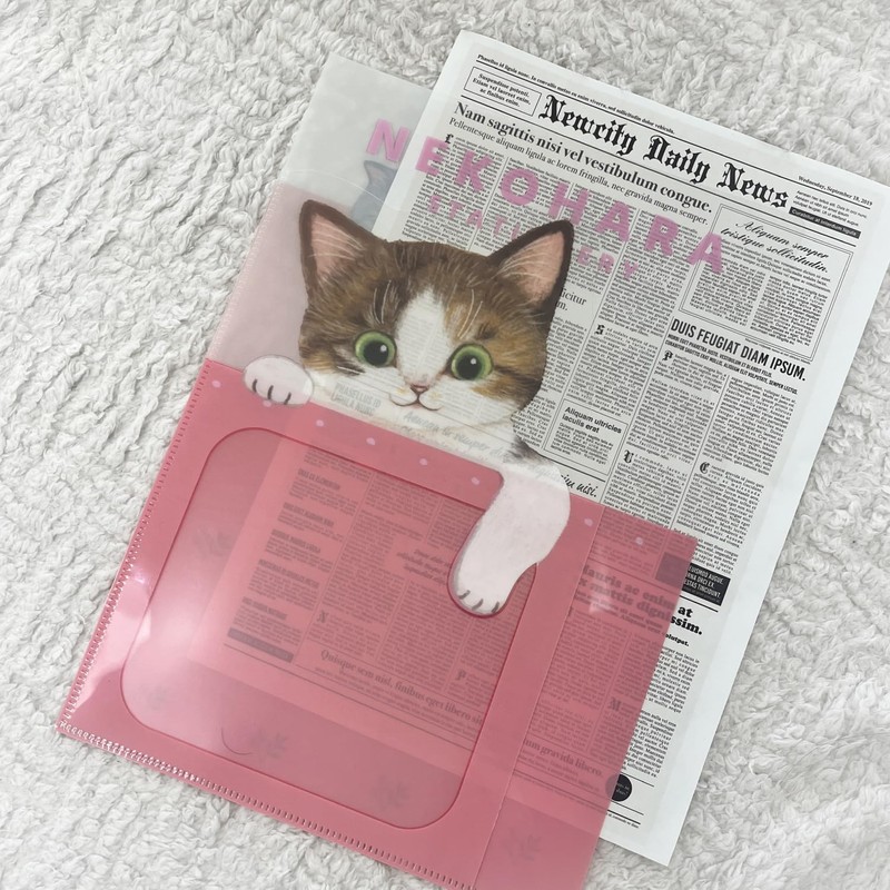 Gakken Stayful Clear Holder, Cat Hara Stationery, A4, Pocket File,